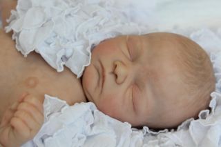 Newborn Love Nursery Corbin by Donna Lee Precious Preemie
