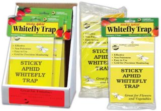  Trap 5 pack   aphid fruit fly house plant insect sticky pest control
