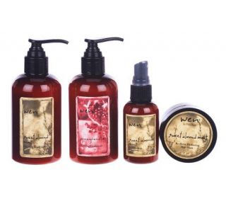 WEN by ChazDean 4 piece Cleanse & Treat Discovery Hair Care Collection 
