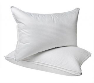 Northern Nights Set of 2 Queen Gusset Uncrushable Pillows —