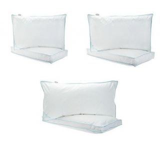 Northern Nights Set of 2 550FP Down Top Gusset Pillows 