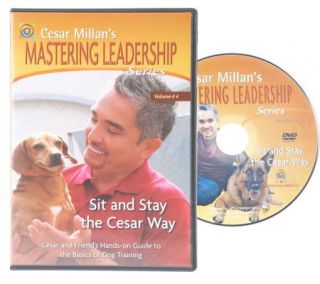 Cesar Millan Mastering Leadership DVD Volume 4 Sit & Stay —