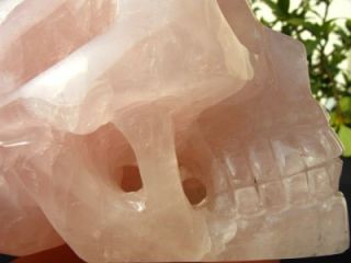 1235G Natural Rose Quartz Crystal Carved Skeleton Healing Skull 122mm