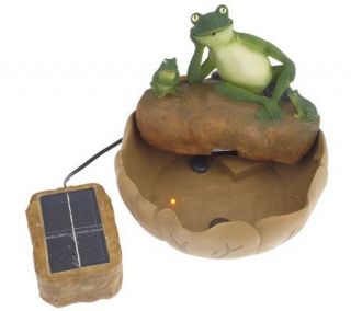 Solar Powered Lighted Spitting Frog Fountain —