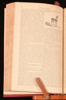 1864 Natural History Earth and Animated Nature Richard Cope