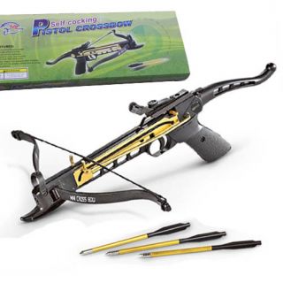 80 LBS Pistol Crossbow Hunting Archery Cross Bow Cobra System MTech