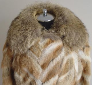 Chic Fitted Coyote Sections Coat Size 6 7