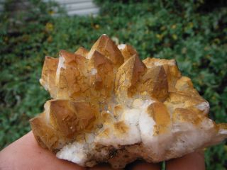  Elestial Skeletal Quartz Crystal Cluster  Diamond Hill South Carolina