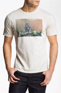 Toddland Whet Owl T Shirt