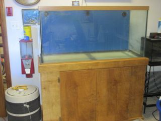 90 Gal tank custom wood stand canopy light heater pump and more