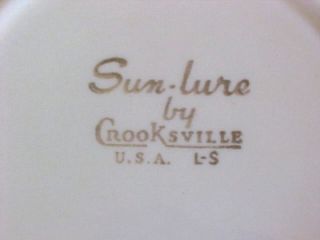 1950s Crooksville Sun Lure Berkley Begonia Bread Plate