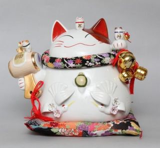 Japanese Lucky Cat Cattery Damo Money Box Bank Large