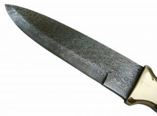 Handmade Damascus Kitchen Knife with Abalone Handle Lowest Price No