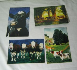 Decorative Tin 4 Sets 12 Cards 12 Envelopes Cows Tree Free Greetings