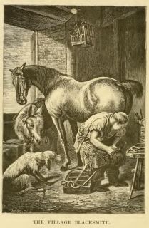 18 rational horse shoeing 1873 author russell john edwards