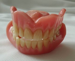 Dentures False Teeth Full Set Props Crafts Halloween Slight Yellowing