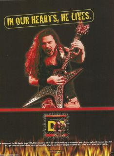 DIMEBAG DARRELL TRIBUTE IN OUR HEARTS HE LIVES DR GUITAR STRINGS PRINT
