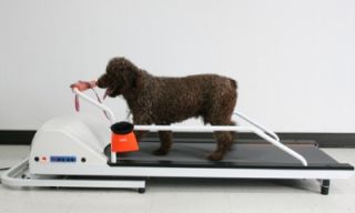 gopet petrun pr710 dog treadmill up to 90lbs