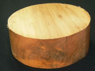 Spalted maple wood bowl blank 3 x 8 1 2 for lathe turning 09 09