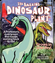 Dinosaur Plant Dino Resurrection Plant Botany Comes Back to Life
