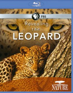  The Leopard Nature PBS Documentary Special 2010 Blu Ray DVD