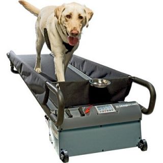  Large Dog Treadmill Dog Tread
