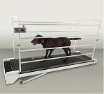 PetRun PR730 Dog Treadmill by GoPet   For Dogs weighing up to 265 Lb