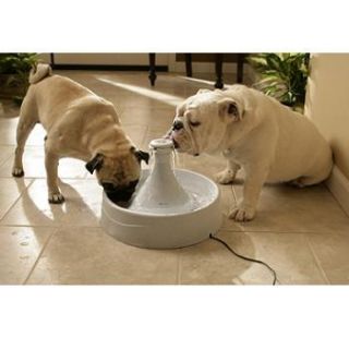 Drinkwell 360 Free Falling Pet Dog Cat Water Fountain