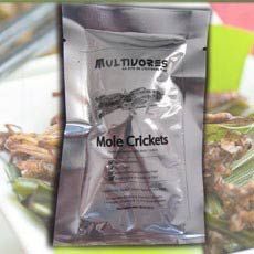 Edible Insects Mole Cricket 4 Packeds