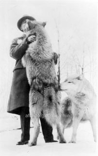 Old Photo Dr Edward Mccleerys Lobo Wolves