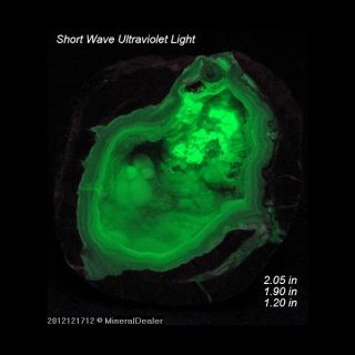 Dugway Geode Fluorescent UT Minerals Crystals Gems SCB