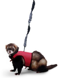 Super Pet Nylon Comfort Harness Plus Stretchy Leash for Small Animal