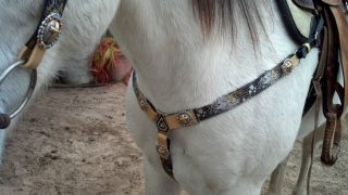 Blinged out Tack Set Hand made Belt headstall offering at NR