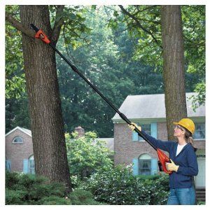 Black Decker Cordless Electric Pole Tree Chain Saw