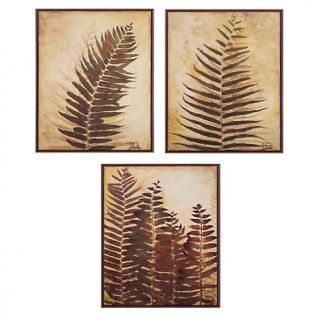 112 4124 house beautiful marketplace ferns 17 x 21 framed art prints