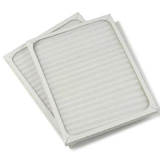 Hunter HEPAtech Replacement 2 pack of Model #30920 Filters