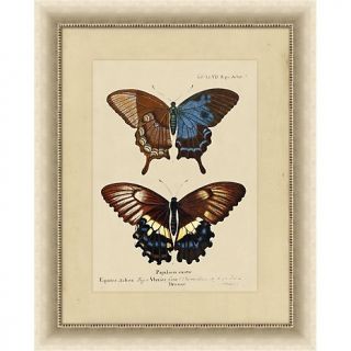 House Beautiful Marketplace Framed Giclée Print   Exotic Butterfly B