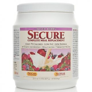 Andrew Lessman SECURE Complete Meal Replacement   30 Servings