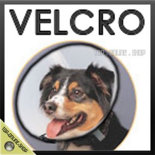 This is an Elizabethan Collar recommended by vets to prevent your pet