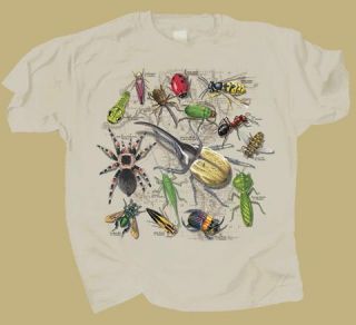 Insect s etc T Shirt New Large Hornet Beetle Tarantula