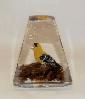  Lucite Acrylic Paperweight Wood Carved Finch Bird Pyramid