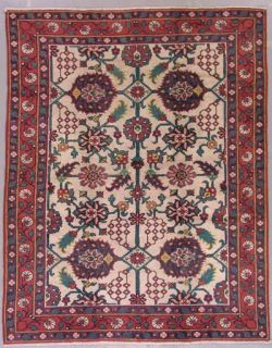 7x9 Antique Indian Oriental Wool Area Rug Carpet