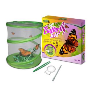 Fascinations Green Earth Butterfly Habitat Kit
