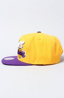 Mitchell & Ness The NBA Vice Snapback Hat in Yellow Purple  Karmaloop