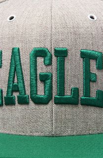 Mitchell & Ness The Philadelphia Eagles Basic Arch Snapback Hat in