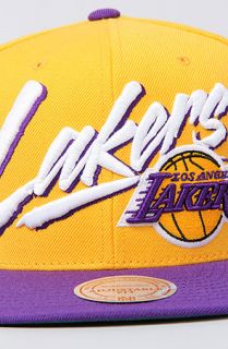Mitchell & Ness The NBA Vice Snapback Hat in Yellow Purple  Karmaloop
