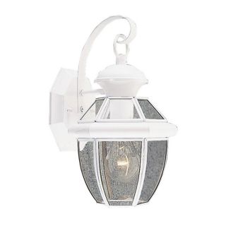 NEW 1 Light XS Outdoor Wall Lamp Lighting Fixture, White, Clear