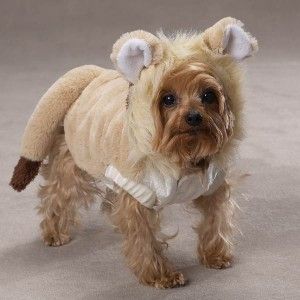 Dog Lil Lion Halloween Costume Pet Clothes Clothing Lil Roar XS s M L