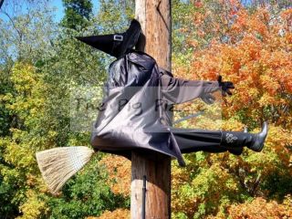   Halloween Witch Flying on Broom Flew Into Light Pole Humor Funny