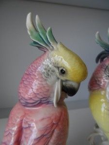  Karl Ens VOLKSTEADT DRESDEN PORCELAIN Cockatoo Parrot Bird FIGURES 8